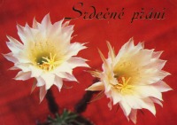 Ретро открытки - Ретрооткрытки из Чехословакии.