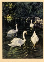 Ретро открытки - Лебеди