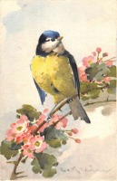 Ретро открытки - Синица на цветущей ветке боярышника