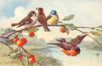 Ретро открытки - Птицы на вишнёвой ветке
