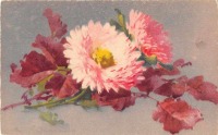Ретро открытки - Розовые астры и осенние листья