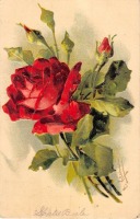 Ретро открытки - Красная роза
