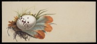 Ретро открытки - Птичье яйцо в гнезде из разноцветных перьев