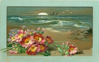 Ретро открытки - С Днём Рождения. Примулы и морской пейзаж