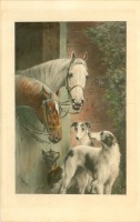 Ретро открытки - Две лошади и три собаки