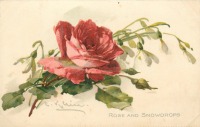 Ретро открытки - Среди цветов. Красная роза и белые подснежники