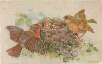Ретро открытки - Малиновка у гнёзда с тремя птенцами и фиалки в траве
