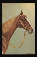 Ретро открытки - Ретро-поштівка.  Голова коня.  Німецьке малярство.