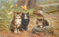 Ретро открытки - Три маленьких котёнка и бабочка