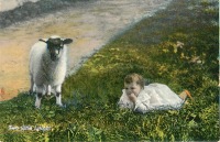 Ретро открытки - Две маленькие овечки