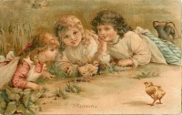 Ретро открытки - Товарищи по играм. Три девочки и цыплята