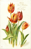 Ретро открытки - Красные тюльпаны с лучшими пожеланиями