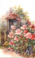 Ретро открытки - Розовые пионы перед сельским домом