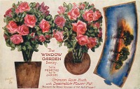 Ретро открытки - Красные розы в декоративном цветочном горшке