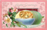 Ретро открытки - Пасхальное яйцо, цыплёнок в скорлупке и яблоневый цвет