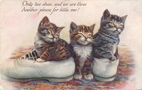 Ретро открытки - Только два ботинка для трёх котят !