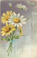 Ретро открытки - Букет жёлтых и белых ромашек