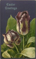 Ретро открытки - Счастливая Пасха и два фиолетовых тюльпана