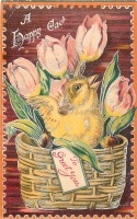 Ретро открытки - Счастливый пасхальный цыплёнок, розовые тюльпаны в корзине