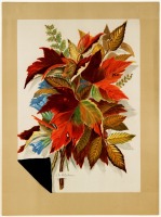 Ретро открытки - Осенние листья и цветы горечавки
