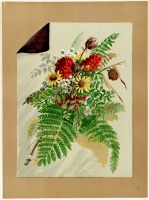 Ретро открытки - Луговые цветы, папоротник и красные ягоды