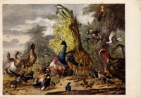 Ретро открытки - Птичий двор