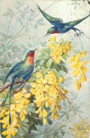 Ретро открытки - Две райские птицы и жёлтые тропические цветы