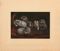 Ретро открытки - Шесть пушистых серых котят