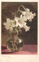 Ретро открытки - Белые лилии