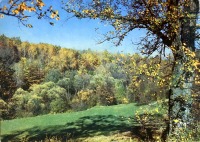 Ретро открытки - Осенний пейзаж