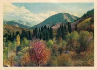 Ретро открытки - В горах