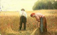 Ретро открытки - Сбор урожая