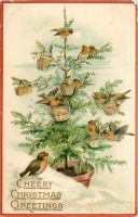 Ретро открытки - Рождественская ёлка и малиновки