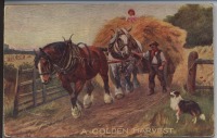 Ретро открытки - Календарь 1920. Золотой урожай