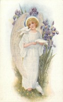 Ретро открытки - Ангел с белыми голубками и фиолетовые ирисы