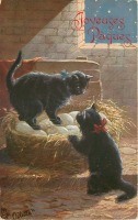 Ретро открытки - Две кошки в курятнике