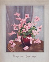 Ретро открытки - День Рождения. Розовые цикламены в красной вазе.