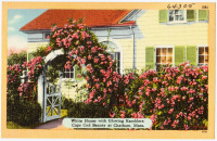 Ретро открытки - Плетистая роза Кейп Код в Чатеме