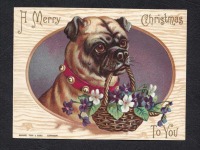 Ретро открытки - С Рождеством, Мопс с корзинкой фиалок