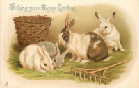 Ретро открытки - Четыре кролика и плетёная корзинка