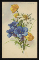 Ретро открытки - Ретро-поштівка.  Букет кольорових квітів. Польша