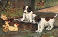 Ретро открытки - Два щенка и утята в пруду
