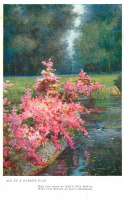 Ретро открытки - Ф. Пилкингтон. Прекрасные цветы в саду