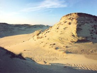 Литва - Насыпанные ветром песчаные дюны Куршской косы