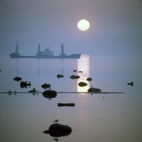 Эстония - Рыболовное судно на рейде. 1982.