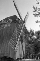 Рига - Латвийский этнографический музей. Ветряная мельница