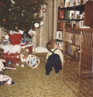 Англия - Рождественская ёлка в Сент-Олбансе, 1982
