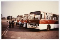Автобусы - Икарус-250