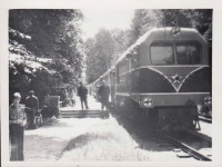 Страны - бывшие республики СССР - Вильнюсская детская железная дорога