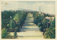 Тбилиси - Тбилиси. В парке – 1956